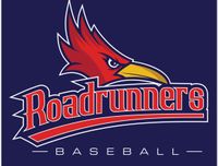 logo roadrunners